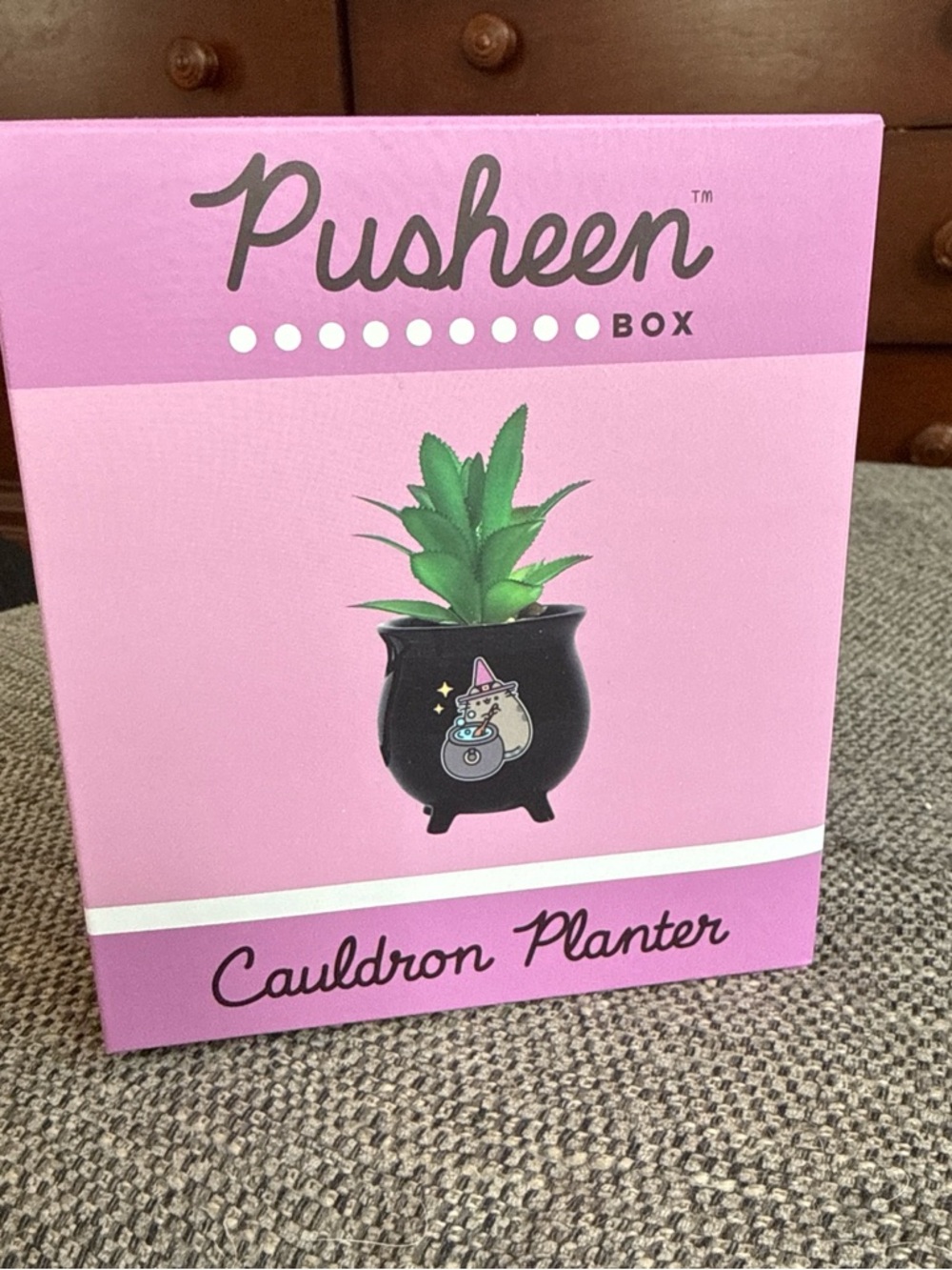 Pusheen Pink Cauldron Planter Box
